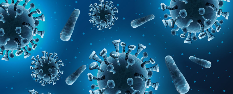An image of viruses and bacteria.