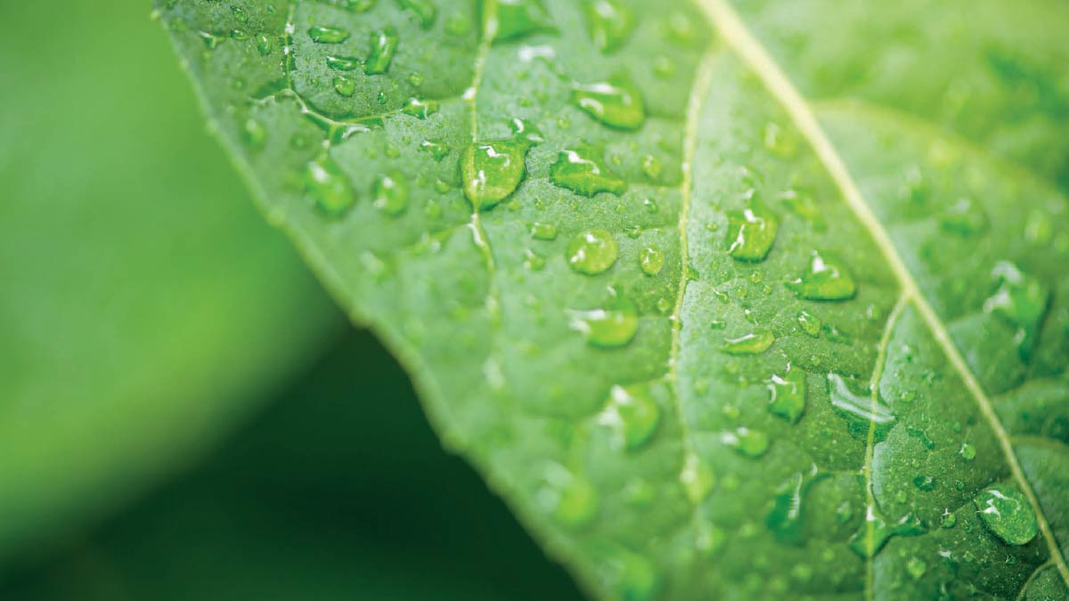 Micronclean Diverts Over 180,000 Garments From Landfill In Major Circular Economy Initiative