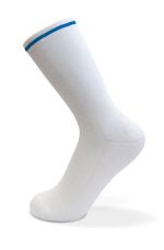 Cleanroom Sock [IN]